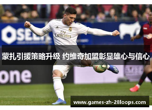 蒙扎引援策略升级 约维奇加盟彰显雄心与信心