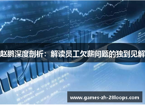 赵鹏深度剖析：解读员工欠薪问题的独到见解